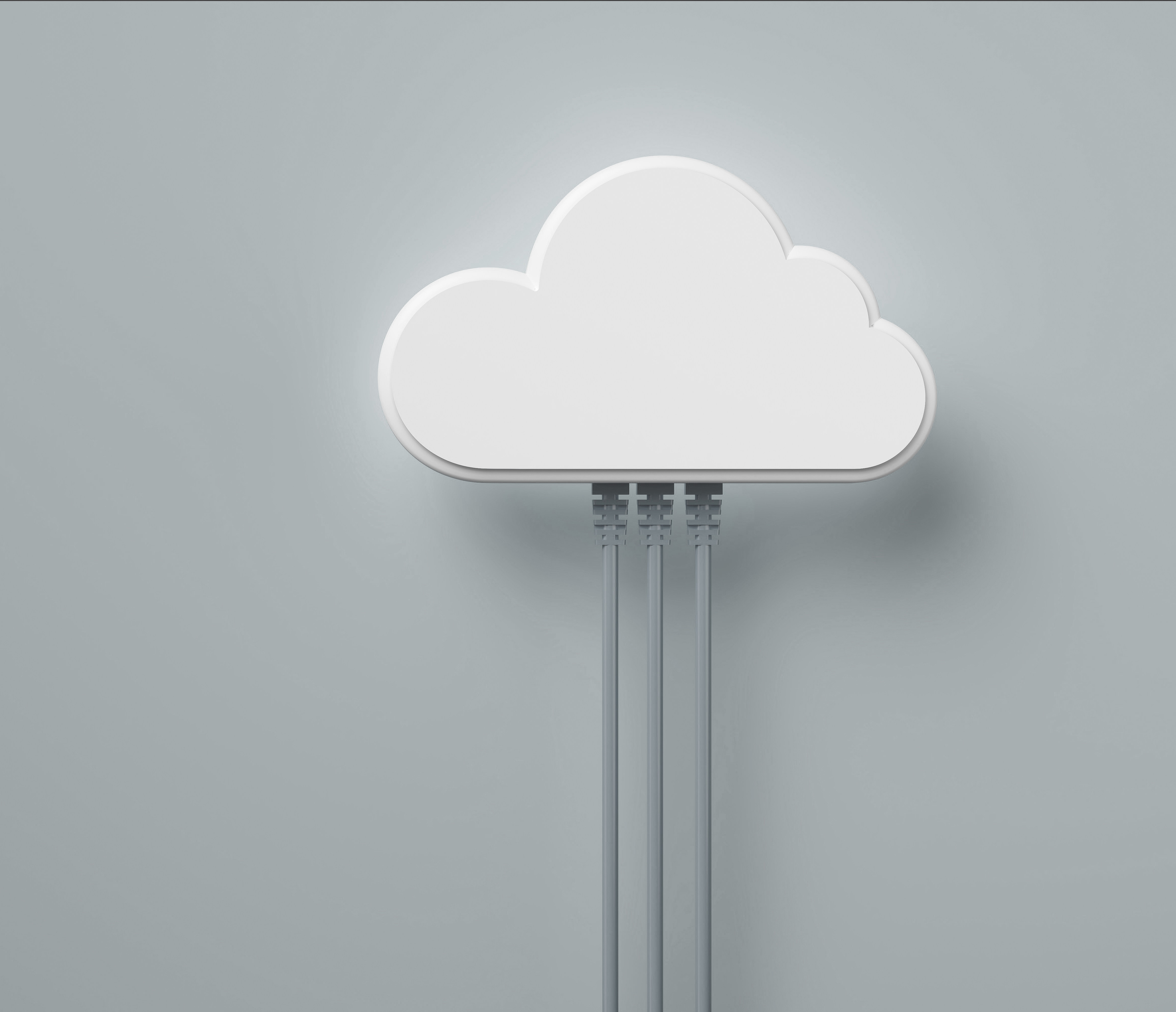 Hosting and maintenance